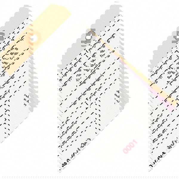 Blank Tag: 6-1/4'' High, Manila & White, Synthetic Paper